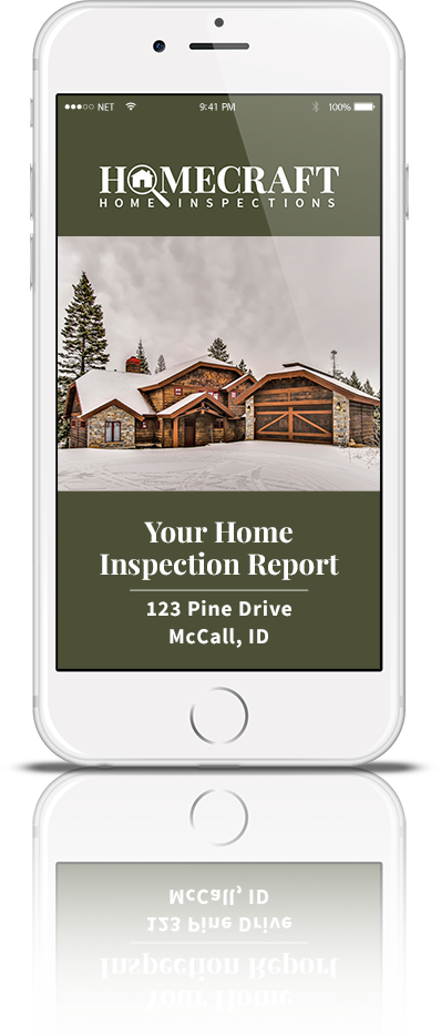 Example Inspection Report on Iphone